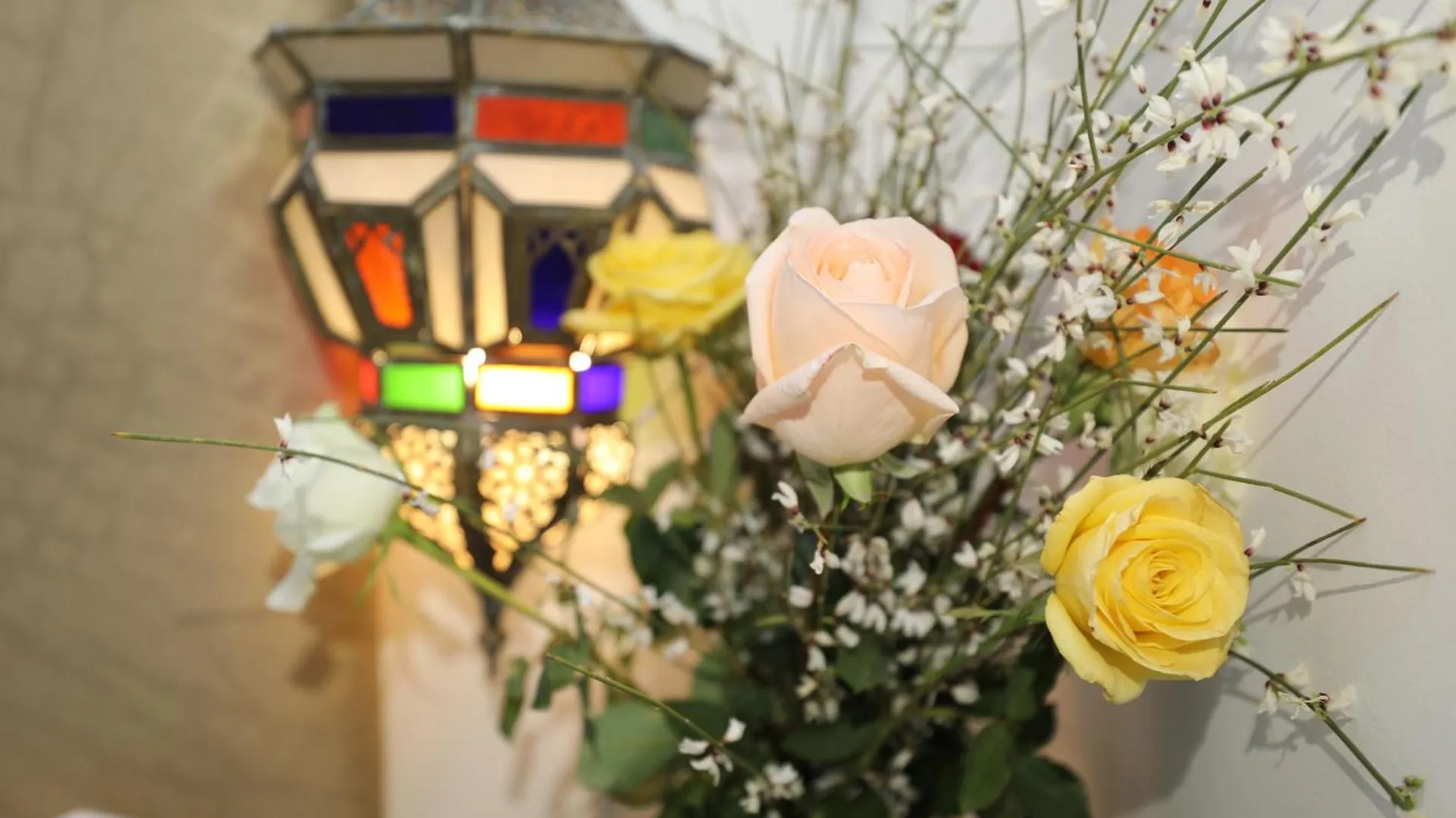Appart Riad Marrakech Marrakesh 0*,